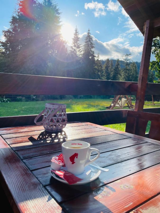 Villa Montana Borsec Extérieur photo